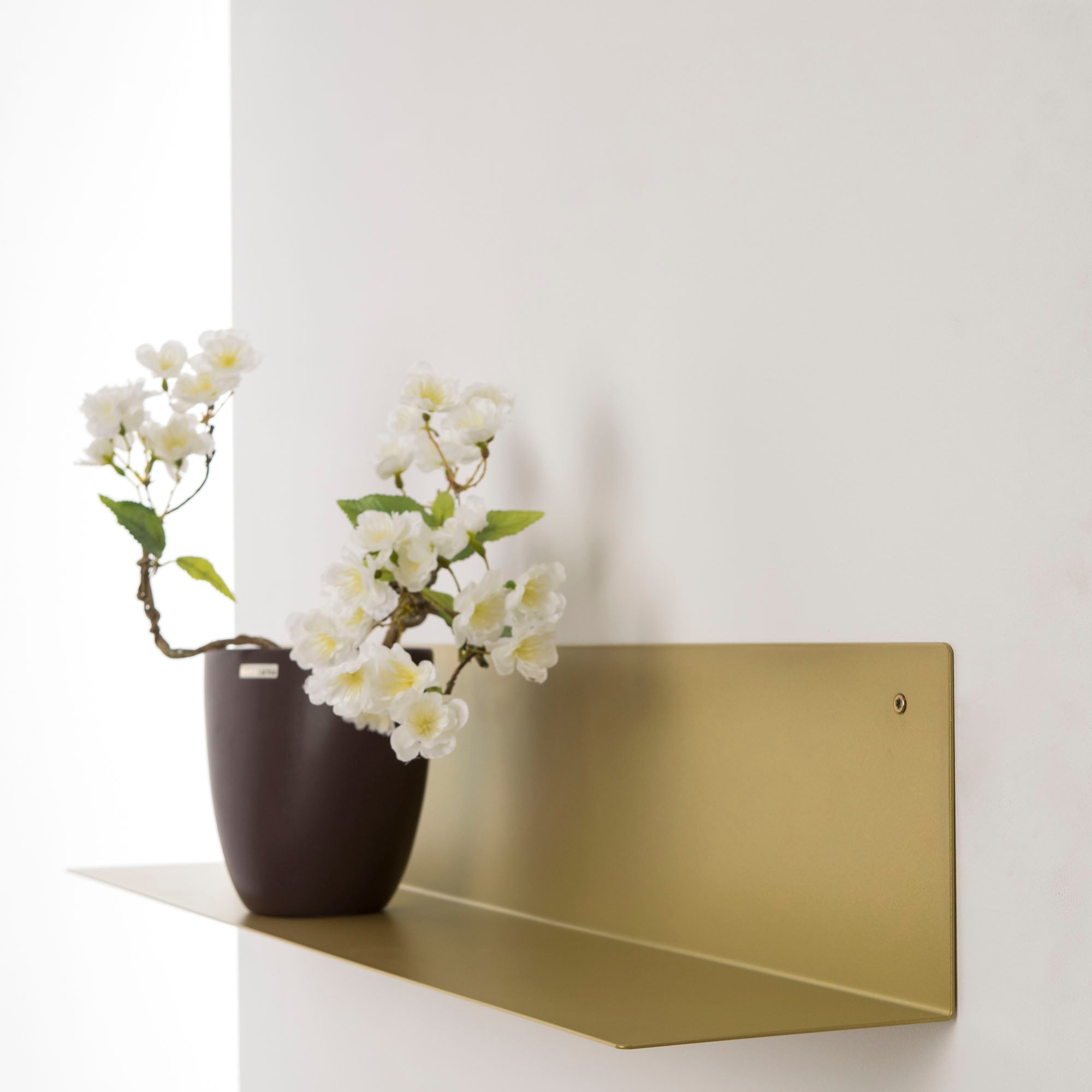 DURAline Metallregal Fotohalter, Bücherregal, Modernes Regalboard in drei Farben 80 x 15 x 15 cm